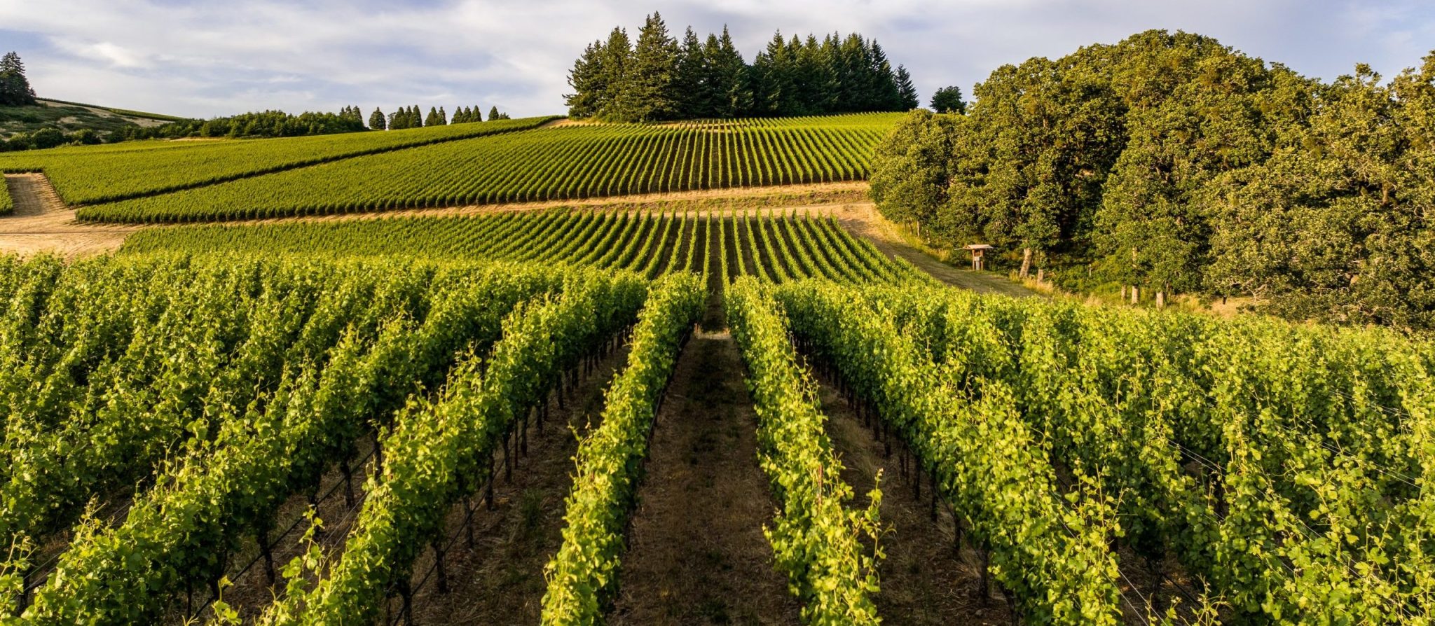 Beauty and affordability in Oregon’s Willamette Valley Olde Stone Village